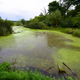Illustration for article titled A Bog is a Bog